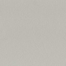 Chant encollé stone grey U 540  VL - 23mm 50ml