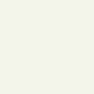 Stratifié front white U501 SM 3,05 x 1,32