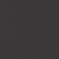 Chant encollé anthracite U 164  VL - 23mm 50ml