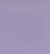 Chant encollé silk       U 4812 VL - 23mm 50ml