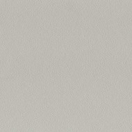 Chant encollé stone grey U 540  VL - 23mm 50ml