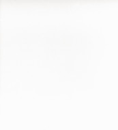 Stratifié white alaska   u 8681 vl 3,05x1,32