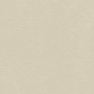 Chant non encollé   U 119 VL - 23mm 50ml