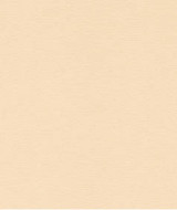 Stratifié sand U515 VL 3,0 5x 1,32