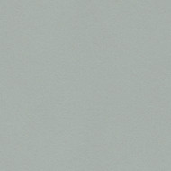 Strat Field Grey U544 VL 